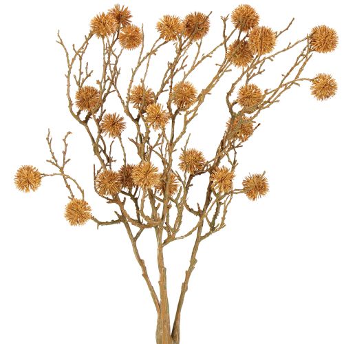 Floristik24 Dekoratyvinė eukalipto šakelė, vaisių puošmena, ochra ruda, 48 cm