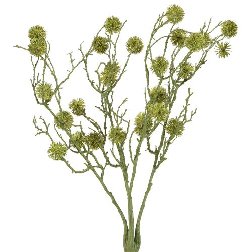 Floristik24 Dekoratyvinė eukalipto šakelė, šviesiai žalia, 48 cm