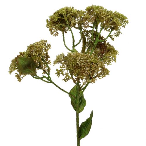 Floristik24 Dekoratyvinė šakelė sedum augalo žalia 58cm