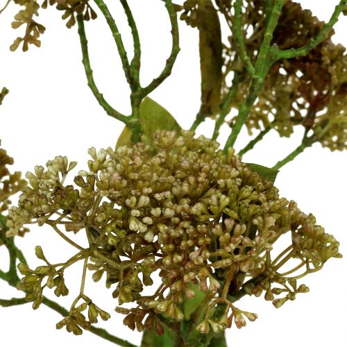 daiktų Dekoratyvinė šakelė sedum augalo žalia 58cm