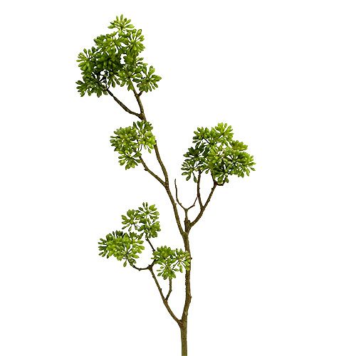 Floristik24 Deco šaka žalia 80cm