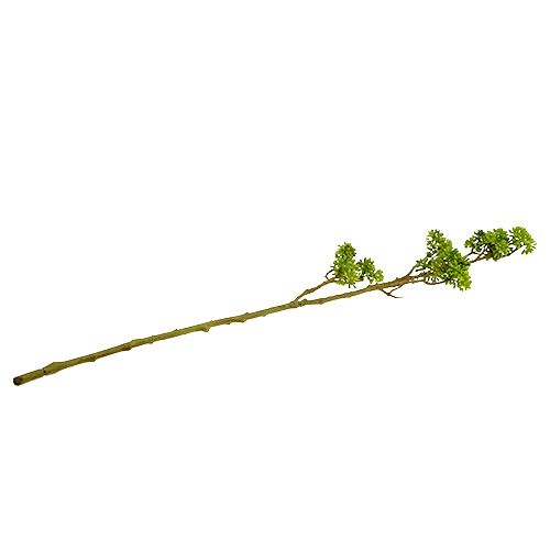 Floristik24 Deco šaka žalia 80cm