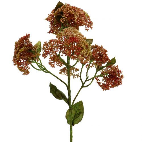 Floristik24 Dekoratyvinė sedum Bordeaux šakelė, geltona 58cm