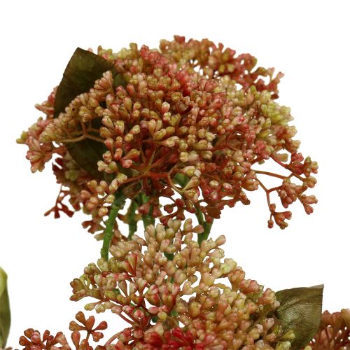 daiktų Dekoratyvinė sedum Bordeaux šakelė, geltona 58cm