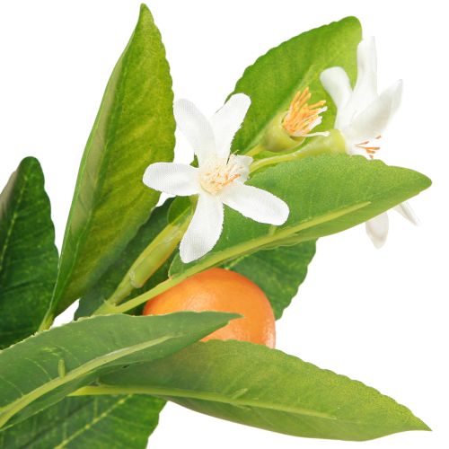 daiktų Dekoratyvinė oranžinė šakelė ir gėlės Dirbtinė oranžinė šakelė 78cm