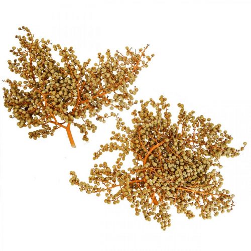 Floristik24 Dekoratyvinės šakelės uogos džiovintos kanapės palmės palmės Uva natural 1kg