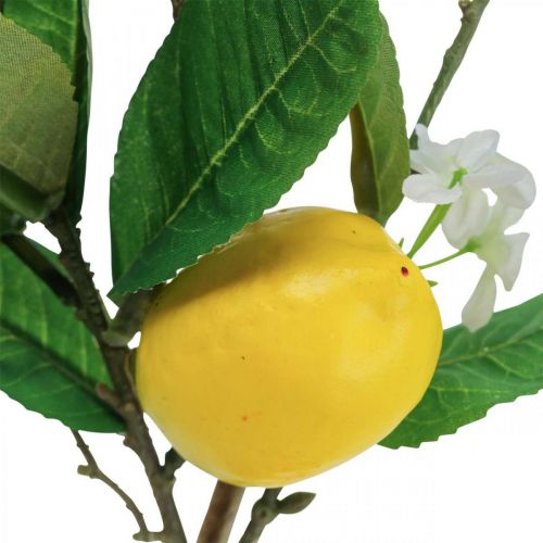 daiktų Dekoratyvinė citrinos šakelė su gėlėmis ir vaisiais H68cm