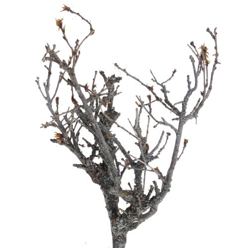 Deko šakelės bonsai medienos deko šakos 15-30cm 650g