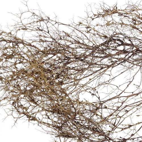 daiktų Deco šakelės Iron Bush šakelės natūrali apdaila medis gamta 250g