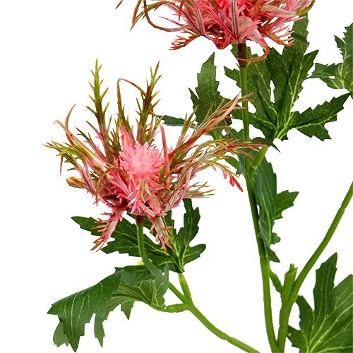 Floristik24 Erškėčio šakelė rožinė, žalia L67cm 4vnt