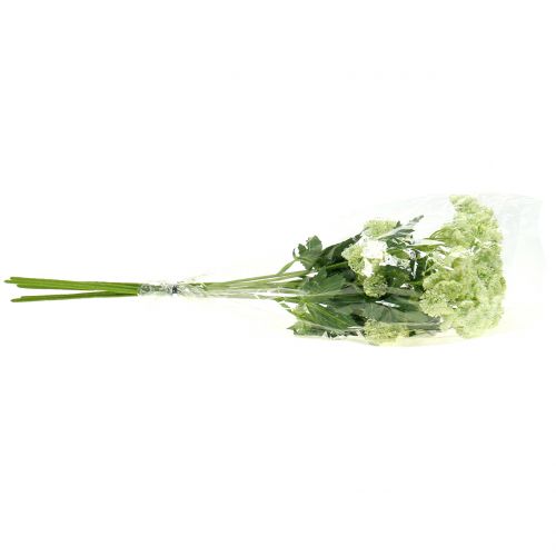 daiktų Krapai dirbtiniai balti 49cm 6 vnt