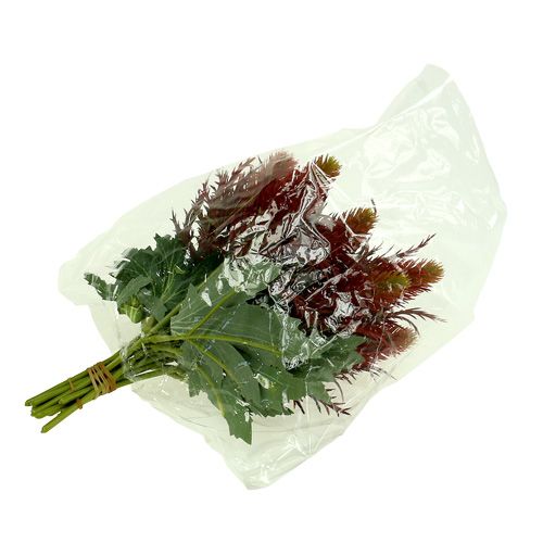 Floristik24 Erškėtis raudonai žalias 20cm 12vnt