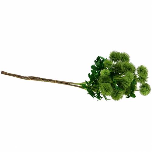 Floristik24 Erškėtis šilkinė gėlė žalia 56cm 3vnt