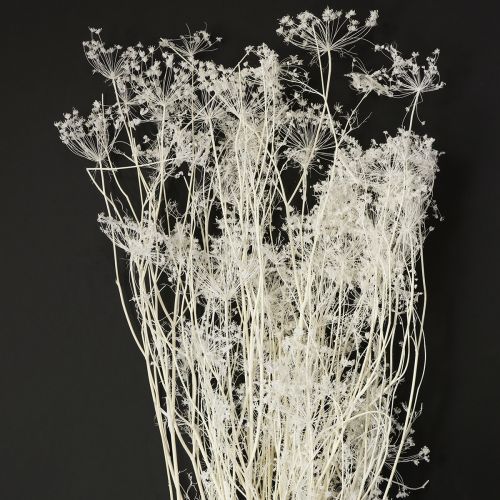 Džiovinti skėtinių žiedai balti 70-80 cm 150 g