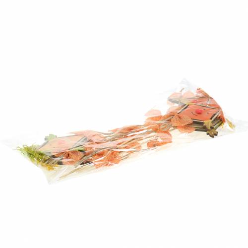Floristik24 Deco kištukas drakonas 39,5cm 6vnt