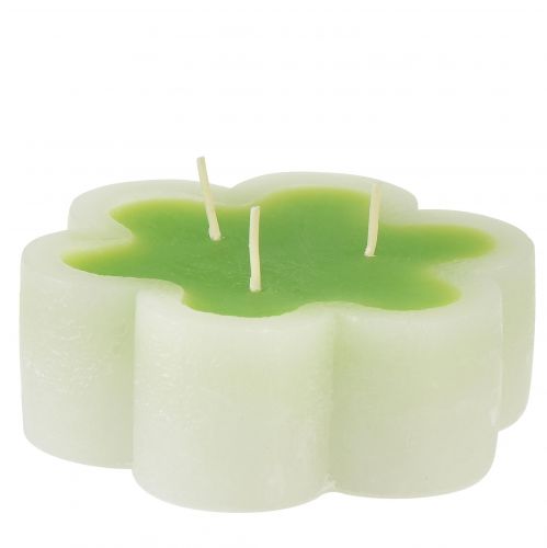 Trijų dagčių žvakė žalios baltos formos gėlė Ø11,5cm H4cm
