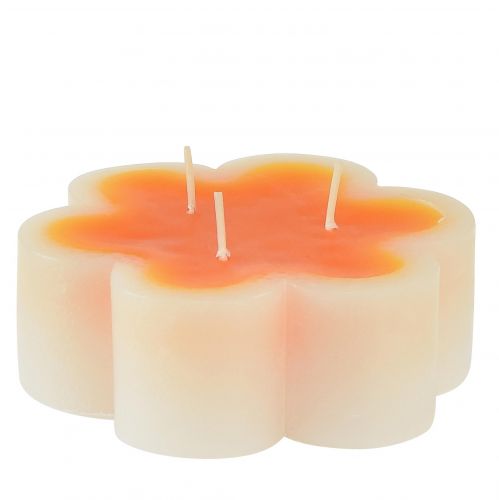 Floristik24 Trijų dagčių žvakė balta oranžinė gėlės formos Ø11,5cm H4cm