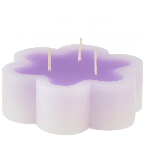 Floristik24 Trijų dagčių žvakė kaip gėlių žvakė violetinė balta Ø11,5cm H4cm
