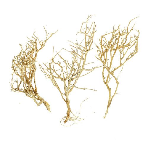 Floristik24 Dry Tree 500g balintas