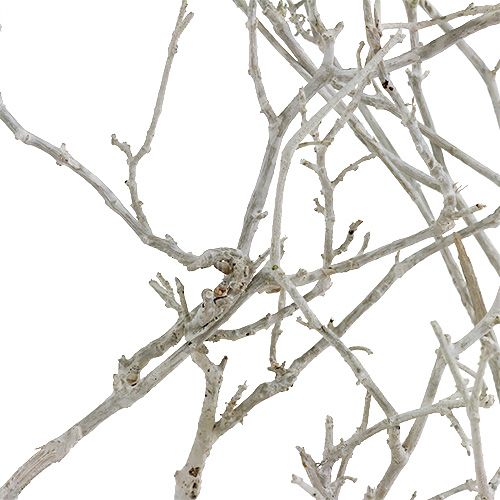 daiktų Dry Tree White skalbtas 500g