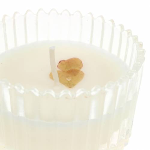 daiktų Kvapi žvakė &quot;Šventiniai vaisiai ir vanilė&quot; Ø6,5cm H9cm