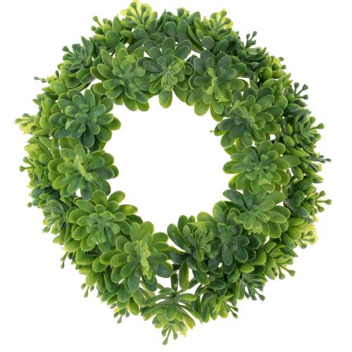 Floristik24 Echeveria vainikas žalias Ø18cm 4vnt