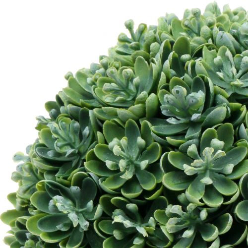 Echeveria kamuoliukas dirbtinis žalias Ø18cm