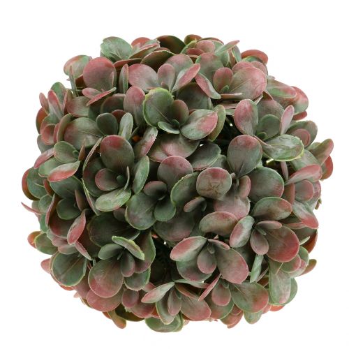 Floristik24 Echeveria kamuoliukas dirbtinis žalias, raudonas Ø22cm