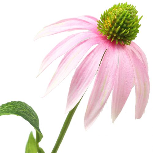 daiktų Ežiuolės gėlė dirbtinė šviesiai rožinė 90cm