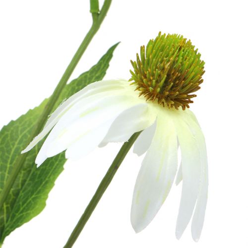 daiktų Ežiuolės gėlė dirbtinė balta 90cm