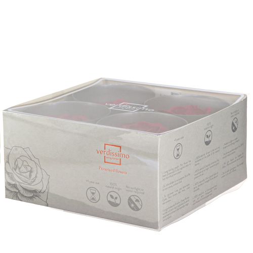 daiktų Tikrų rožių galvutės „Infinity Roses Red Premium“ Ø8,5 cm 4 vnt.