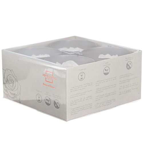 Floristik24 Tikrų rožių galvutės „Infinity Roses White Premium Ø8.5cm“ 4 vnt.
