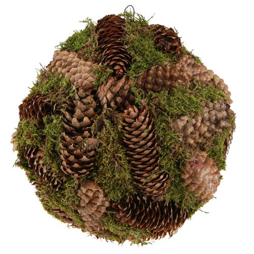 daiktų Tikrų kūgių dekoratyvinis rutulys su samanų natūralia puošyba Ø25cm H25cm