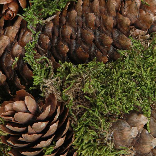 daiktų Tikrų kūgių dekoratyvinis rutulys su samanų natūralia puošyba Ø25cm H25cm