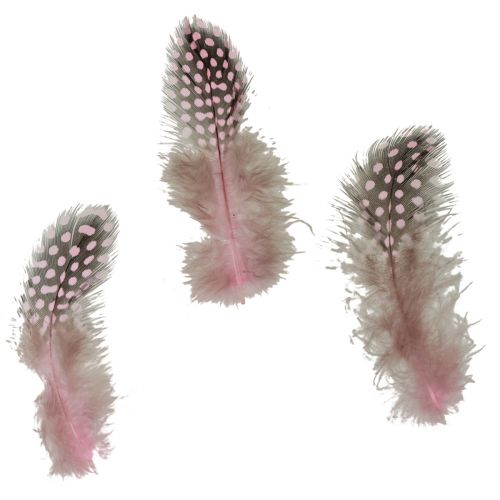 Tikros perlinių vištų plunksnos rausvos su taškeliais 4-12cm 100vnt