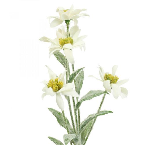 Floristik24 Edelweiss dirbtinė gėlė balta flokuota 38cm