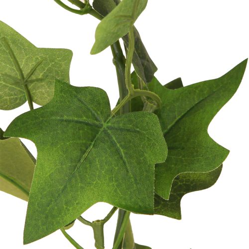 daiktų Ivy Garland dirbtinis vynuogių žalias su 2 kilpomis L150 cm