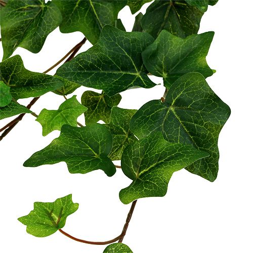 Floristik24 Dirbtinė gebenė žalia 60cm