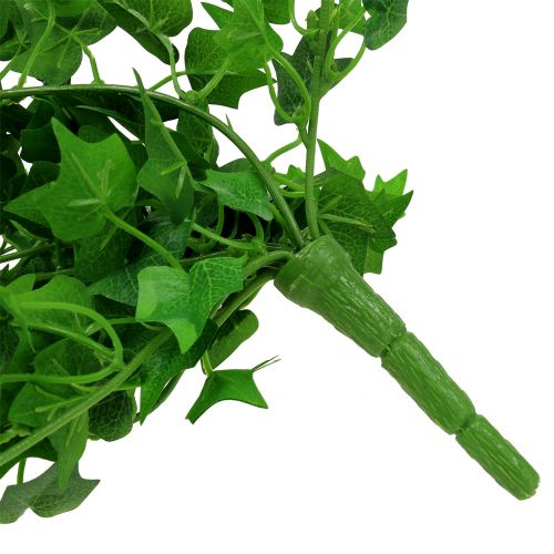 Floristik24 Gebenės kabykla žalia 60cm