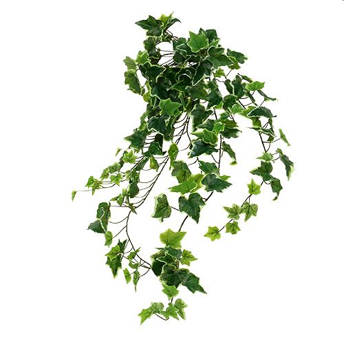 Floristik24 Ivy kabykla 80cm balta-žalia