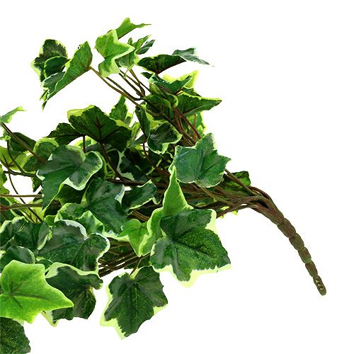 Floristik24 Ivy kabykla 80cm balta-žalia