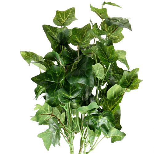 Floristik24 Gebenė dirbtinė žalia 50cm Dirbtinis augalas kaip tikras!