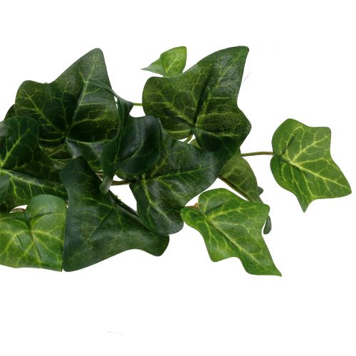 daiktų Gebenė dirbtinė žalia 50cm Dirbtinis augalas kaip tikras!