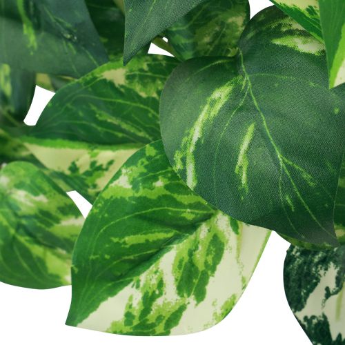 Floristik24 Gebenės augalas Pothos gebenės dirbtinio aukso ūselė 50cm
