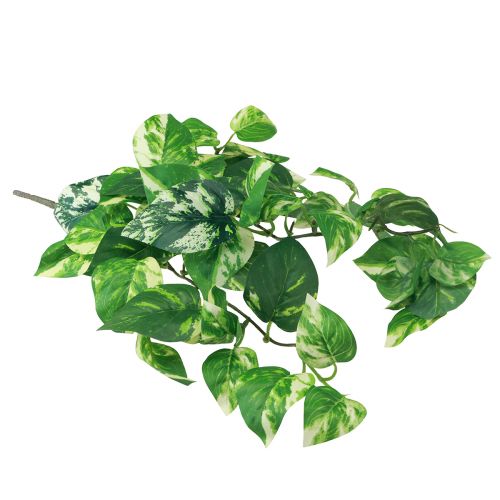 Floristik24 Gebenės augalas Pothos gebenės dirbtinio aukso ūselė 50cm