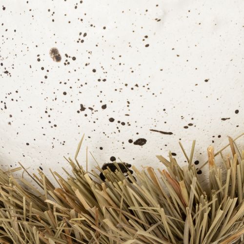 daiktų Velykų lizdelio formos dubenėlis pavasarinei dekoracijai 11 cm, 4 vnt.