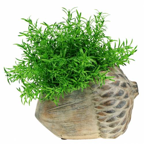 Floristik24 Sodinamosios betoninės gilės 21,5 cm × 14 cm H9,5 cm