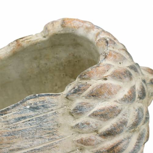 Floristik24 Sodinamosios betoninės gilės 21,5 cm × 14 cm H9,5 cm