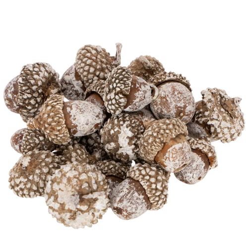 Gilės, natūralus produktas dekoravimui, baltai nubalintos, 1-3 cm, 300 g