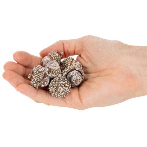Gilės, natūralus produktas dekoravimui, baltai nubalintos, 1-3 cm, 300 g | Floristik24.lt